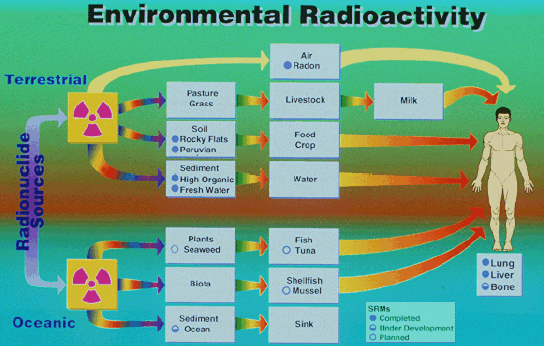 Radioactivity+diagram